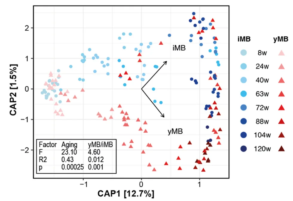 Open access visualization of Scatter Plot, PCA, Microbiome, 16S rRNA Gene Amplicon Sequencing, yMB