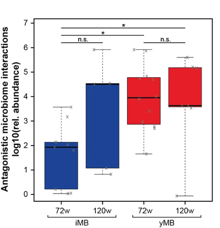 Open access visualization of Box Plot, Microbe-Microbe Interactions, yMB, iMB, Mice