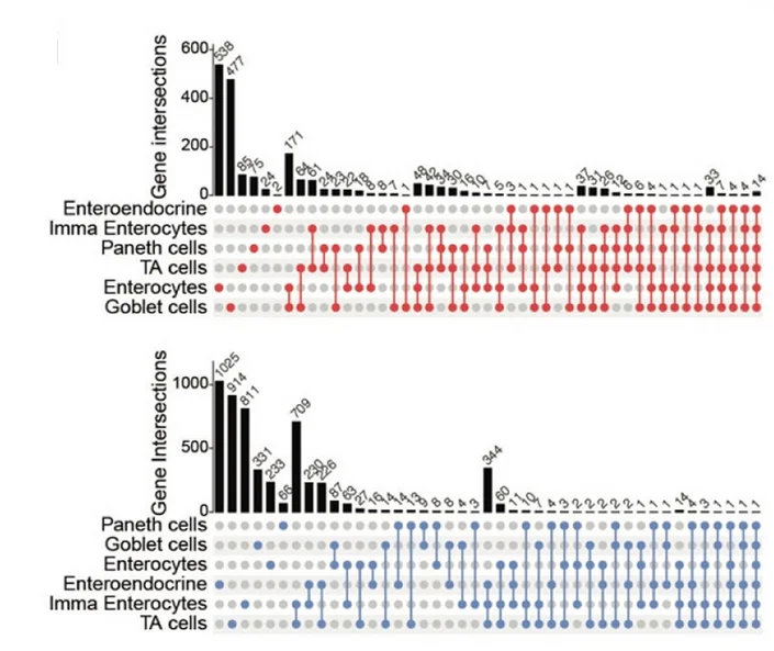 Open access visualization of Bar Plot, Upset, DEGs, Epithelial Cell Types, Up-regulated Genes