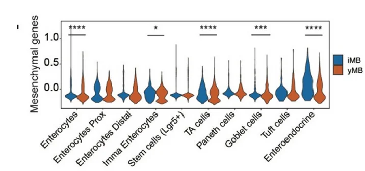 Open access visualization of Violin Plot, Mesenchymal Score, yMB, iMB, Epithelial Cell Types