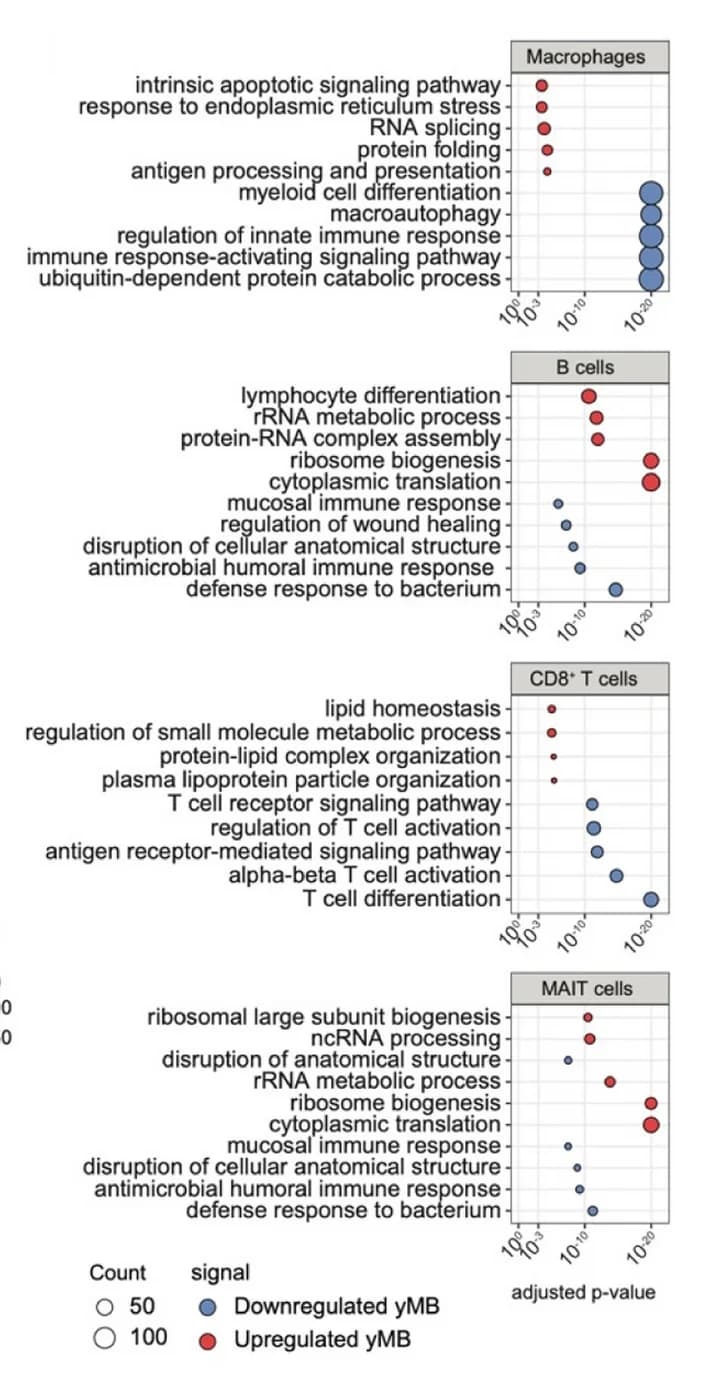 Open access visualization of Scatter Plot, Bubble Plot, Enriched Functions, Upregulated Genes, Downregulated Genes
