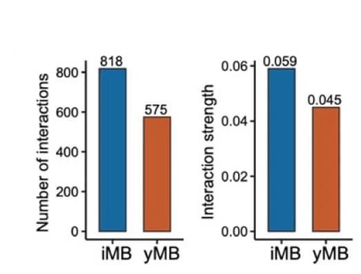 Open access visualization of Bar Plot, Clustered, Receptor Ligand Interactions