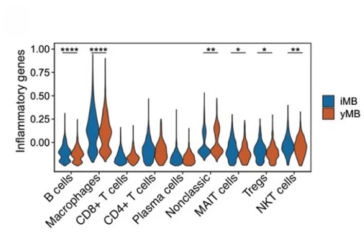 Open access visualization of Violin Plot, Inflammation Score, Immune Cell Types, Inflammatory Tone