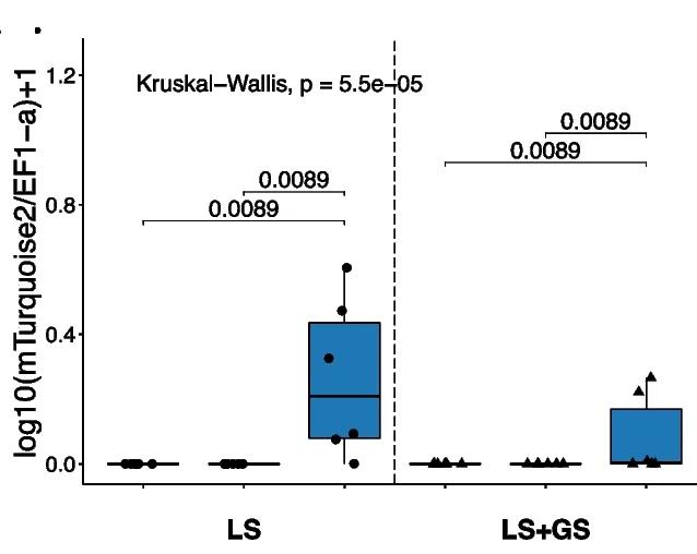 Open access visualization of Box Plot, Scatter Plot, qPCR, Leaf Tissue, Gene Abundance