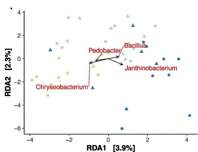 Open access visualization of Scatter Plot, PCA, Principal Components Analysis, Aitchison Distance, Bacteria