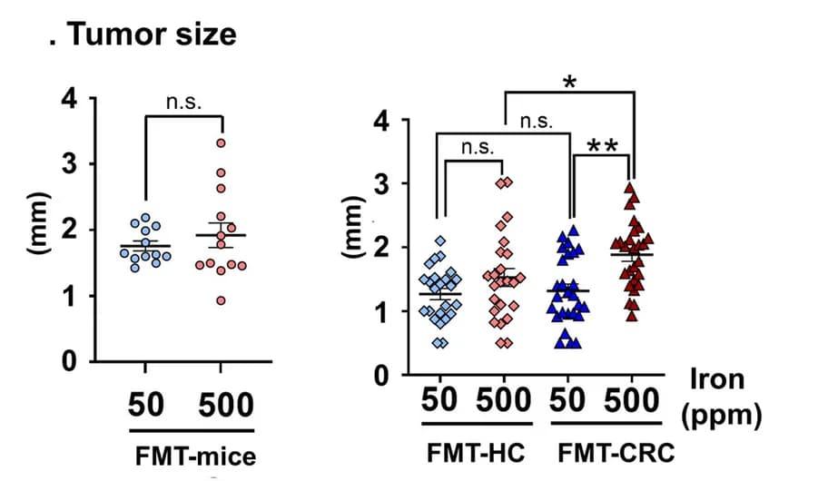 Open access visualization of Scatter Plot, Error Bars, Tumor Size