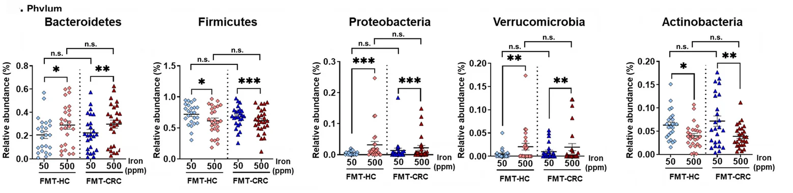 Open access visualization of Scatter Plot, Error Bars, Microbial Taxa, Phylum Levels, FMT-HC Mice