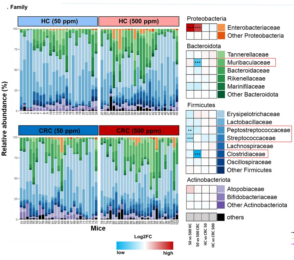 Open access visualization of Stacked Bar Plot, Heatmap, Microbial Taxa, Family Levels, FMT-HC Mice