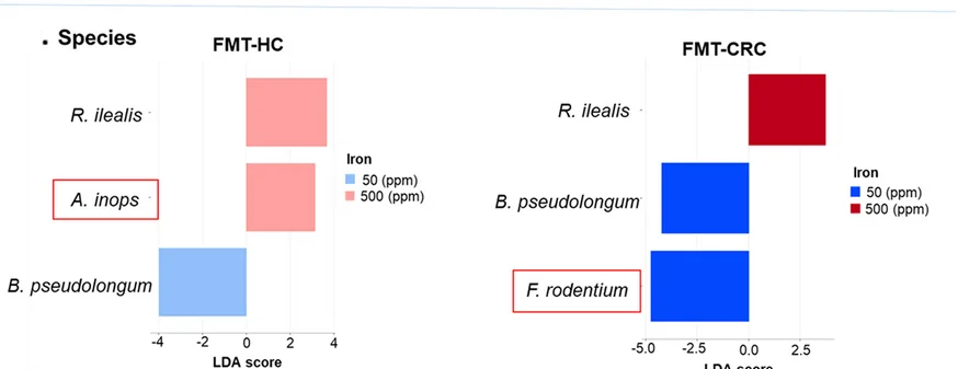 Open access visualization of Bar Plot, Bacterial Species, FMT-HC Mice, FMT-CRC Mice, Iron Sufficient Diet