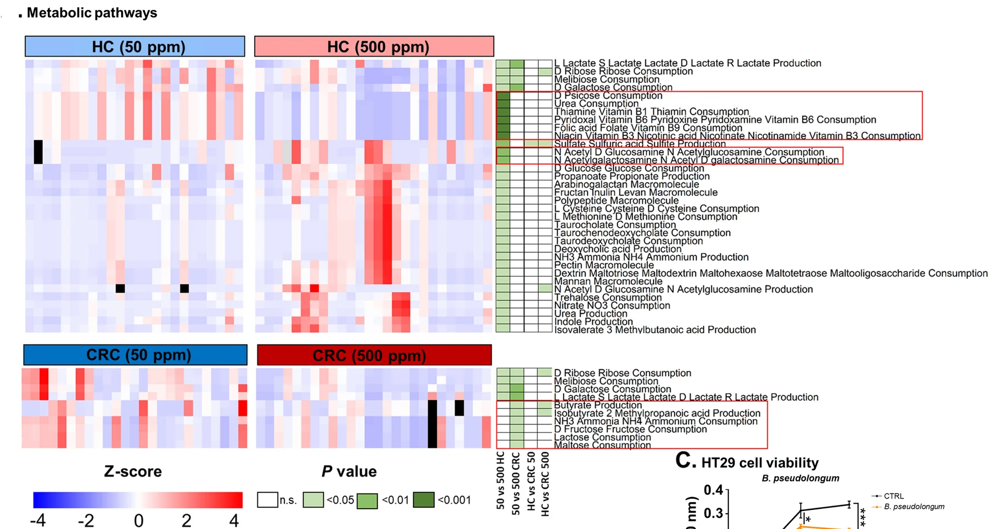 Open access visualization of Heatmap, Line Plot, Error Bars, Metabolic Pathways, FMT-HC Mice