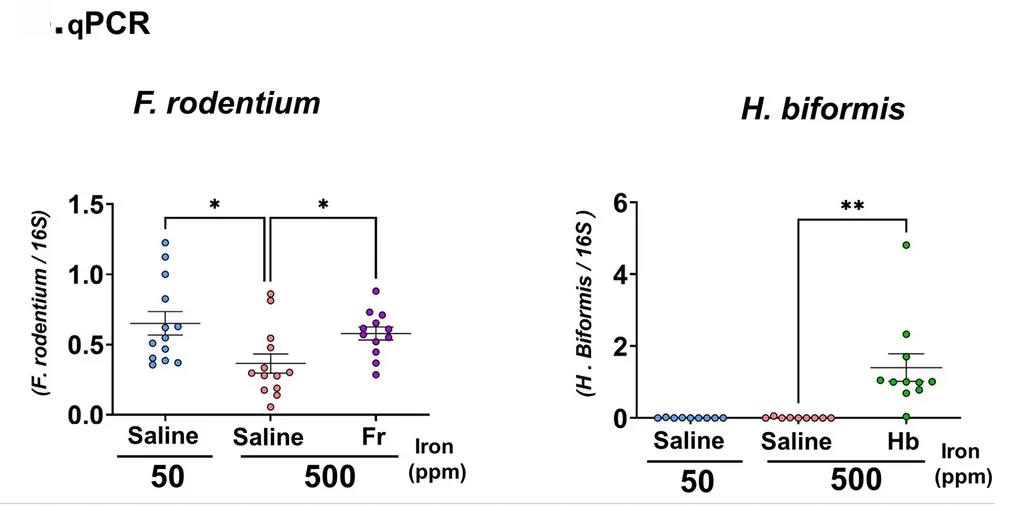 Open access visualization of Scatter Plot, Error Bars, F. Rodentium, H. Biformis, Fecal Levels