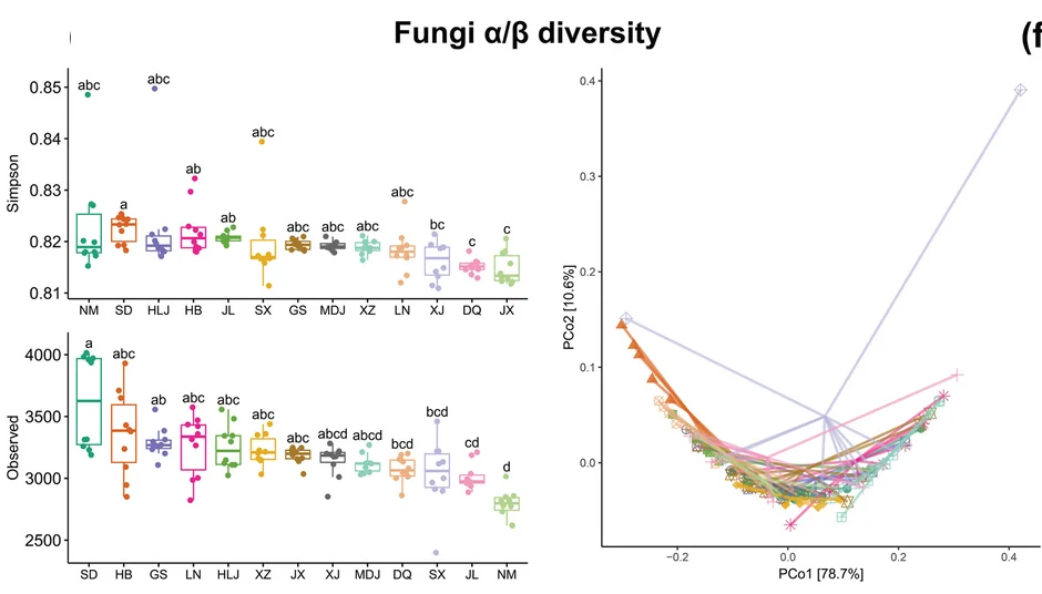 Open access visualization of Box Plot, Scatter Plot, Line Plot, Rhizosphere Soil, Microorganisms