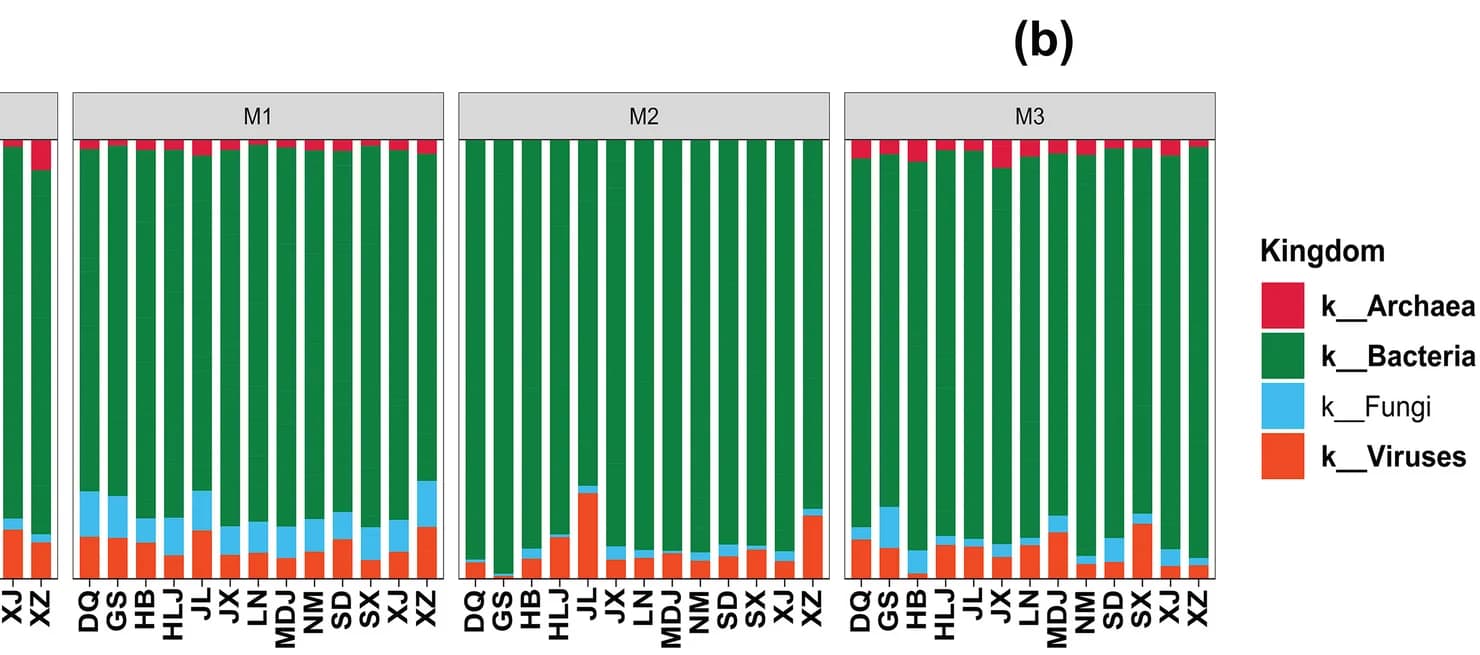 Open access visualization of Stacked Bar Plot, Cooccurrence Network, Rhizosphere Microorganisms, Soybean, Degree Coefficients