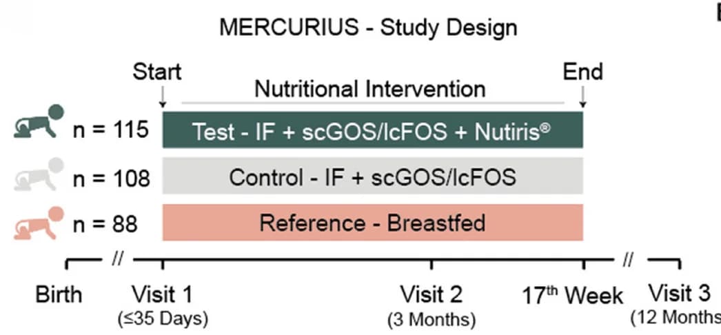 Open access visualization of Workflow, Flowchart, Formula Fed Infants, Nutritional Intervention, Fecal Samples