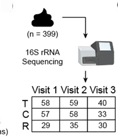 Open access visualization of Workflow, Table Image, Fecal Samples, 16S rRNA Sequencing, Test Group