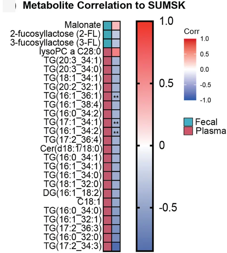 Open access visualization of Heatmap, Pearson Correlations, Skin Thickness, Fecal Metabolites, Plasma Metabolites