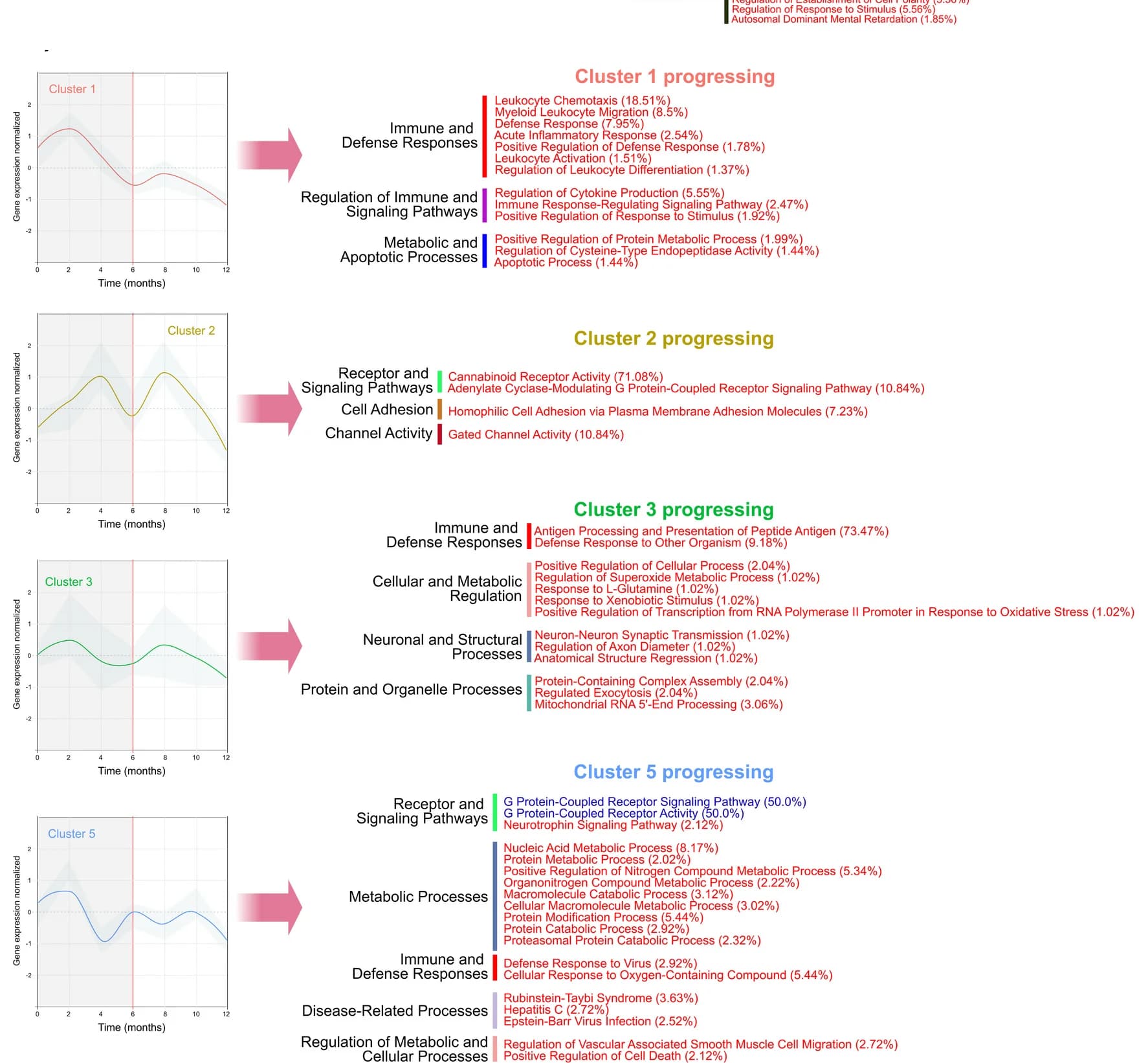 Open access visualization of Line Plot, Error Bars, Pathway, DE Genes, Gene Clusters