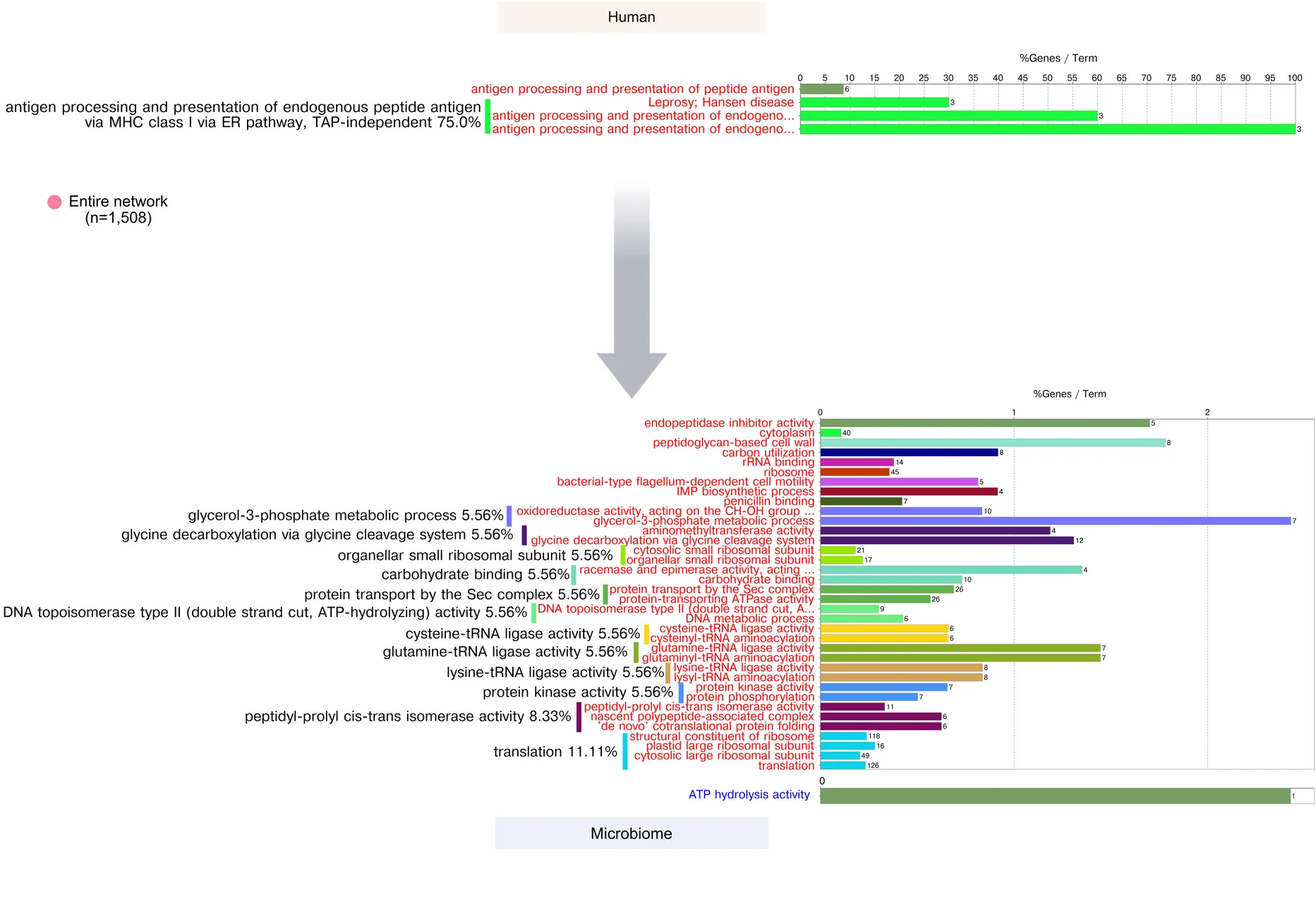 Open access visualization of Bar Plot, Human Activities, Microbiome Activities, Time Lag, Functional Groups