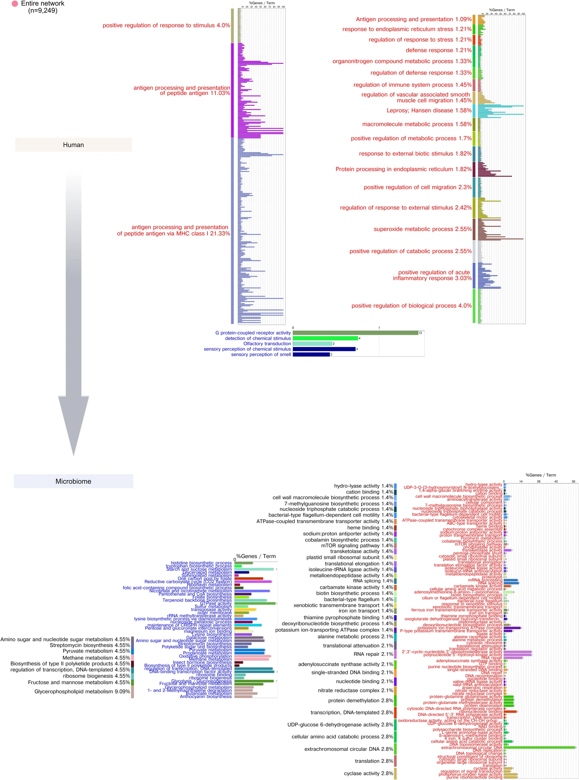 Open access visualization of Bar Plot, Stacked Bar Plot, Pathway, Host-Microbiome, Delay Correlation Analysis