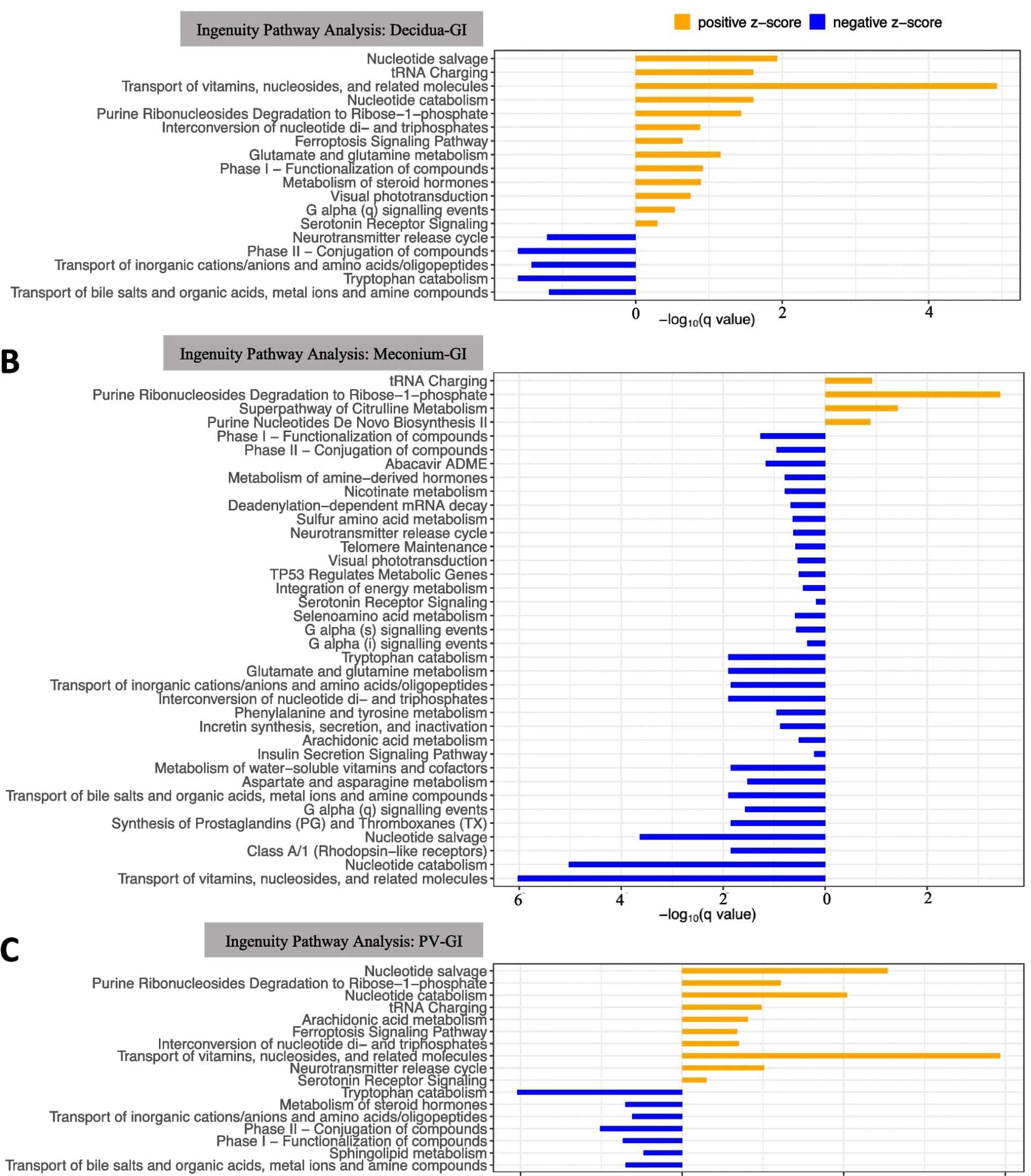 Open access visualization of Bar Plot, Pathway Enrichment, Differentially Altered Pathways, GI Group, Decidua Group