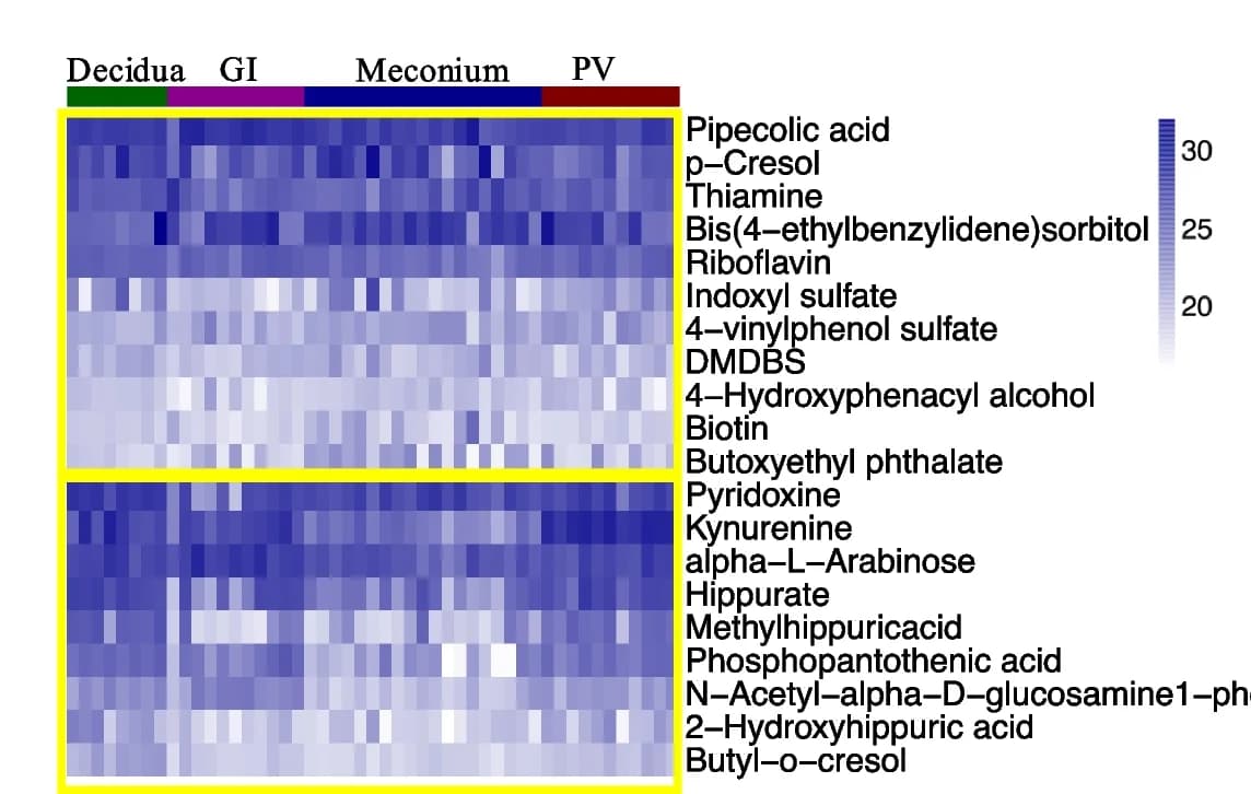 Open access visualization of Heatmap, Microbial Metabolites, Tissue Groups, Decidua Samples