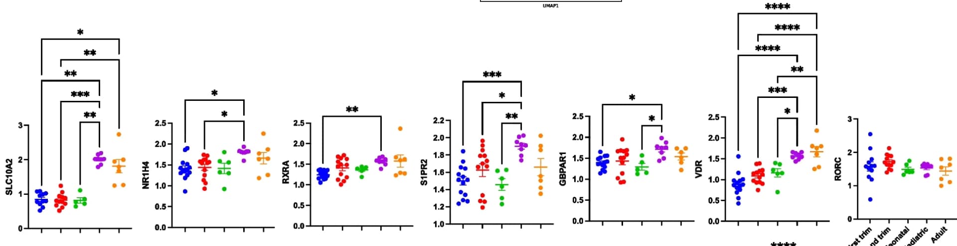 Open access visualization of Scatter Plot, Error Bars, Boxplots, Gene Expression, Small Intestine