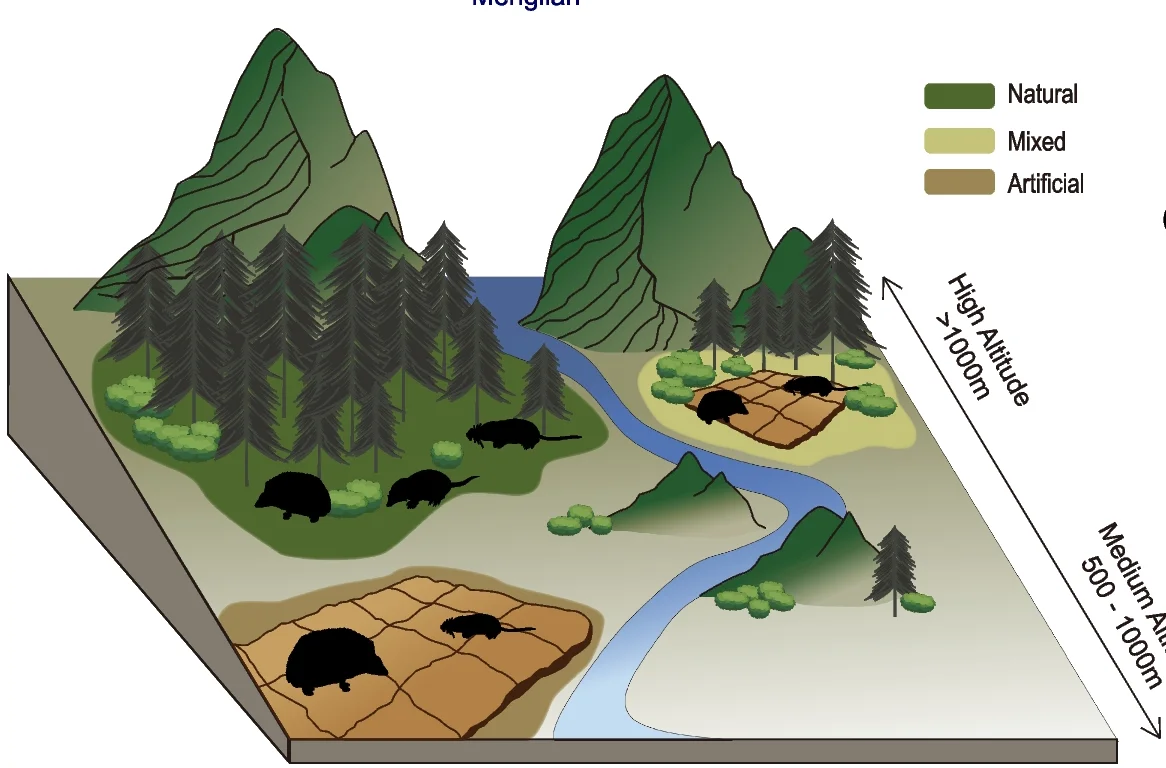 Open access visualization of Illustration, Landscape, Habitats, Altitude, Insectivores