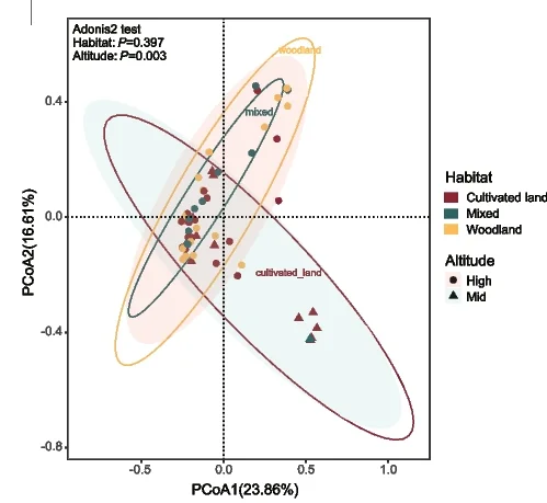 Open access visualization of Scatter Plot, Viral Richness, Insectivores, Statistical Significance