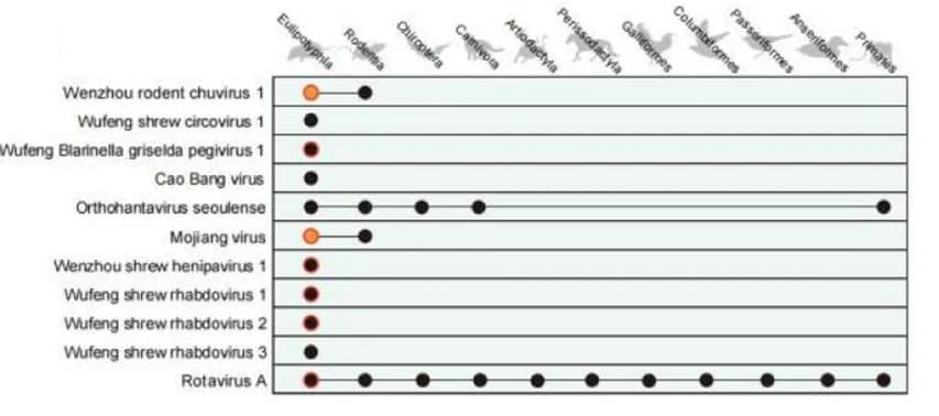 Open access visualization of Network, Pathway, Sankey, Virus, Host