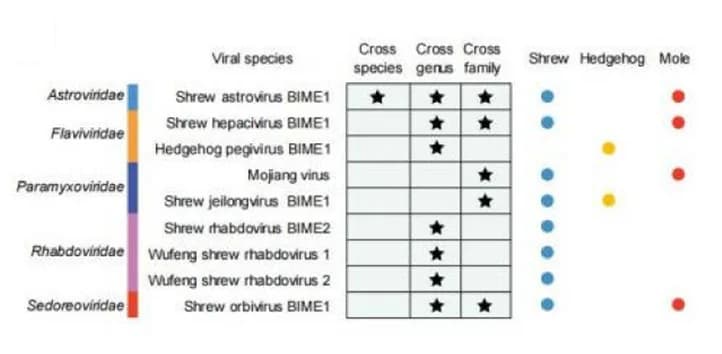 Open access visualization of Table Image, Bar Plot, Scatter Plot, Virus, Transmission