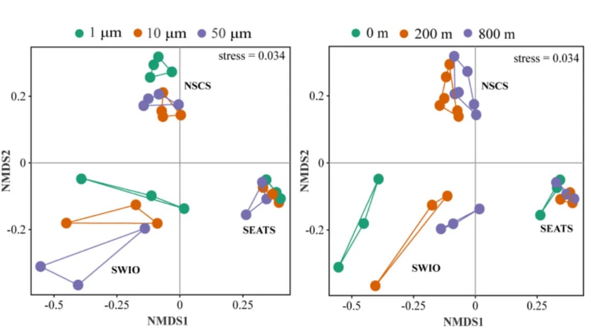 Open access visualization of Scatter Plot, Line Plot, nMDS Ordination, BrayCurtis Dissimilarity, Size Fractions