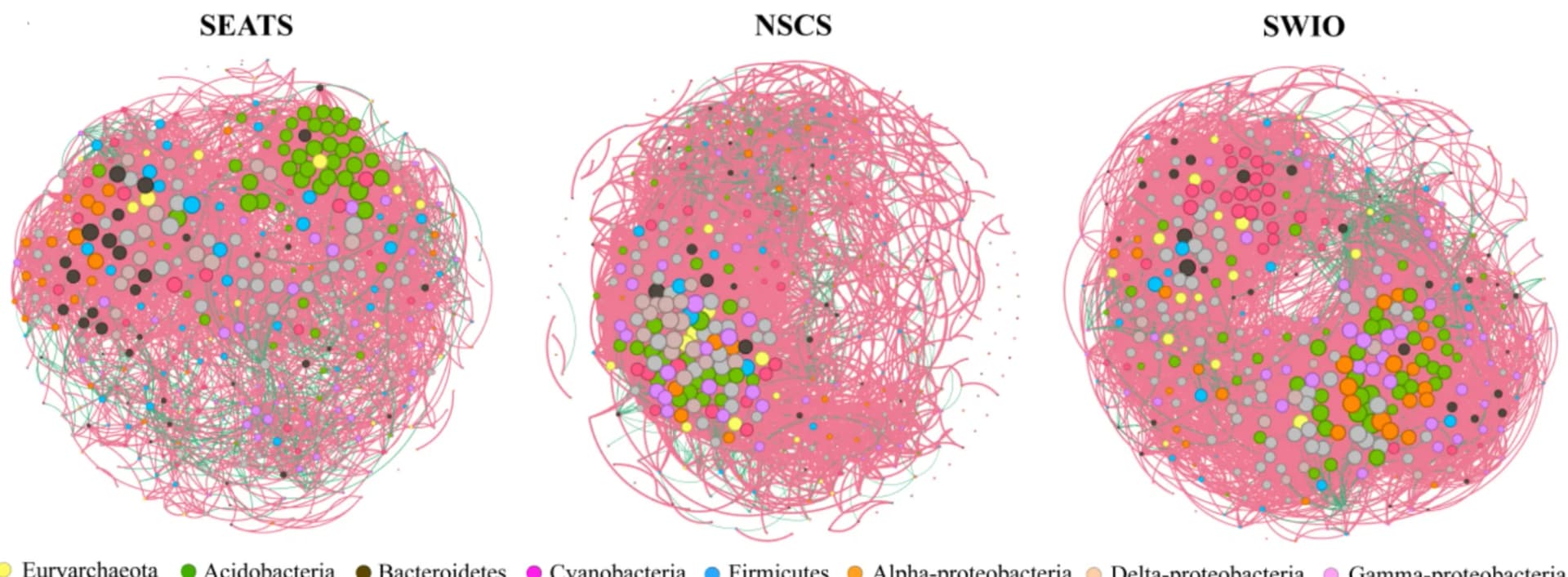 Open access visualization of Network, Scatter Plot, Bubble Plot, Co-occurrence Network Analysis, Nodes