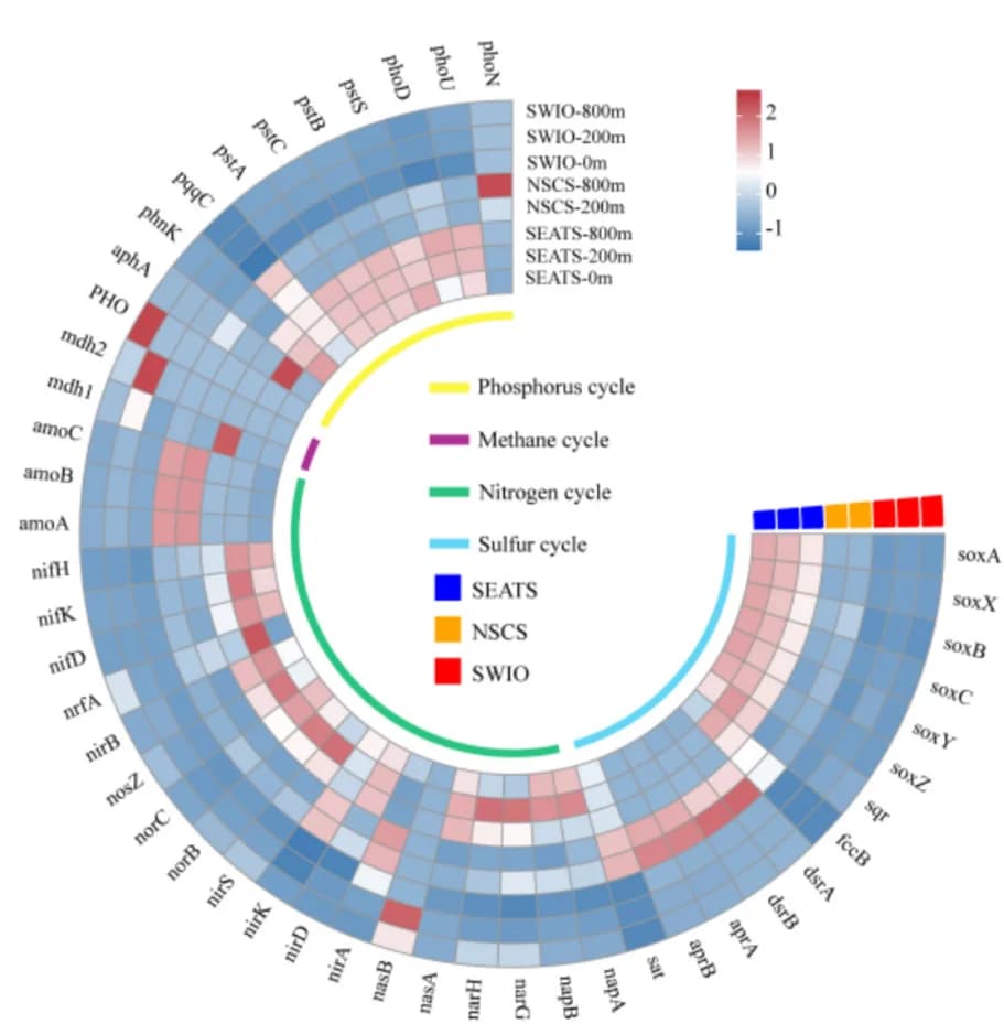 Open access visualization of Heatmap, Z-score heatmap, Functional genes, Phosphorus cycle, Methane cycle