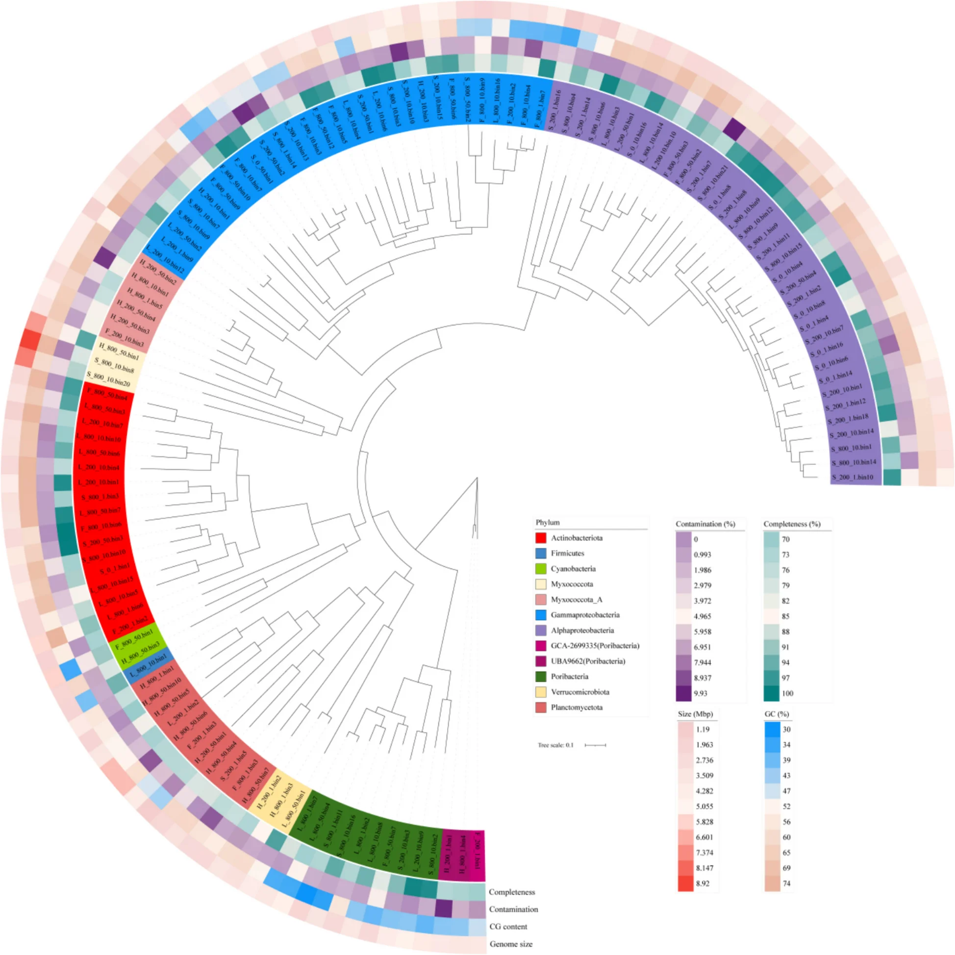 Open access visualization of Heatmap, Clustered, Phylogenetic Tree, MAGs, Bacterial Phyla