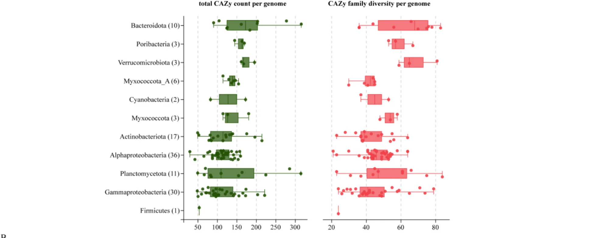 Open access visualization of Box Plot, Scatter Plot, CAZyme, MAG, Phylum