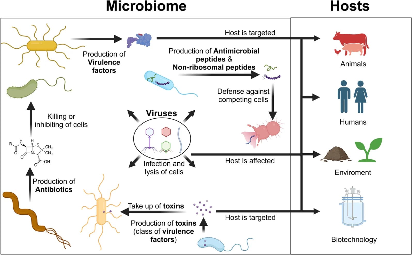Open access visualization of Workflow, Flowchart, Illustration, Microbial Effectors, Microbiomes