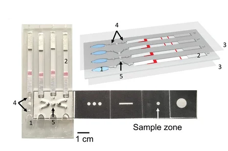 Plot showing: Illustration, Workflow, Lateral-Flow, Diagnostic Device, DNA Detection