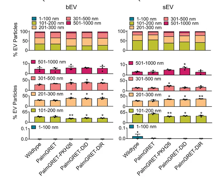 Plot showing: Stacked Bar Plot, Bar Plot, Error Bars, Particle Size Composition, bEVs