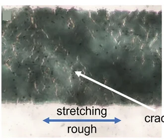 Plot showing: Photo, Bright-field Image, Gold Feedline, Elongation, Rough Surface