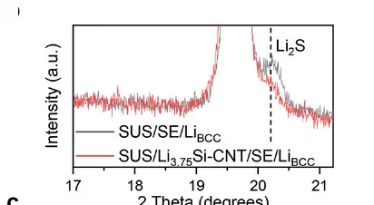Plot showing: Line Plot, XRD analysis, SE surface, Li deposition