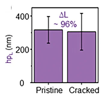 Plot showing: Bar Plot, Error Bars, Cracks, DNA