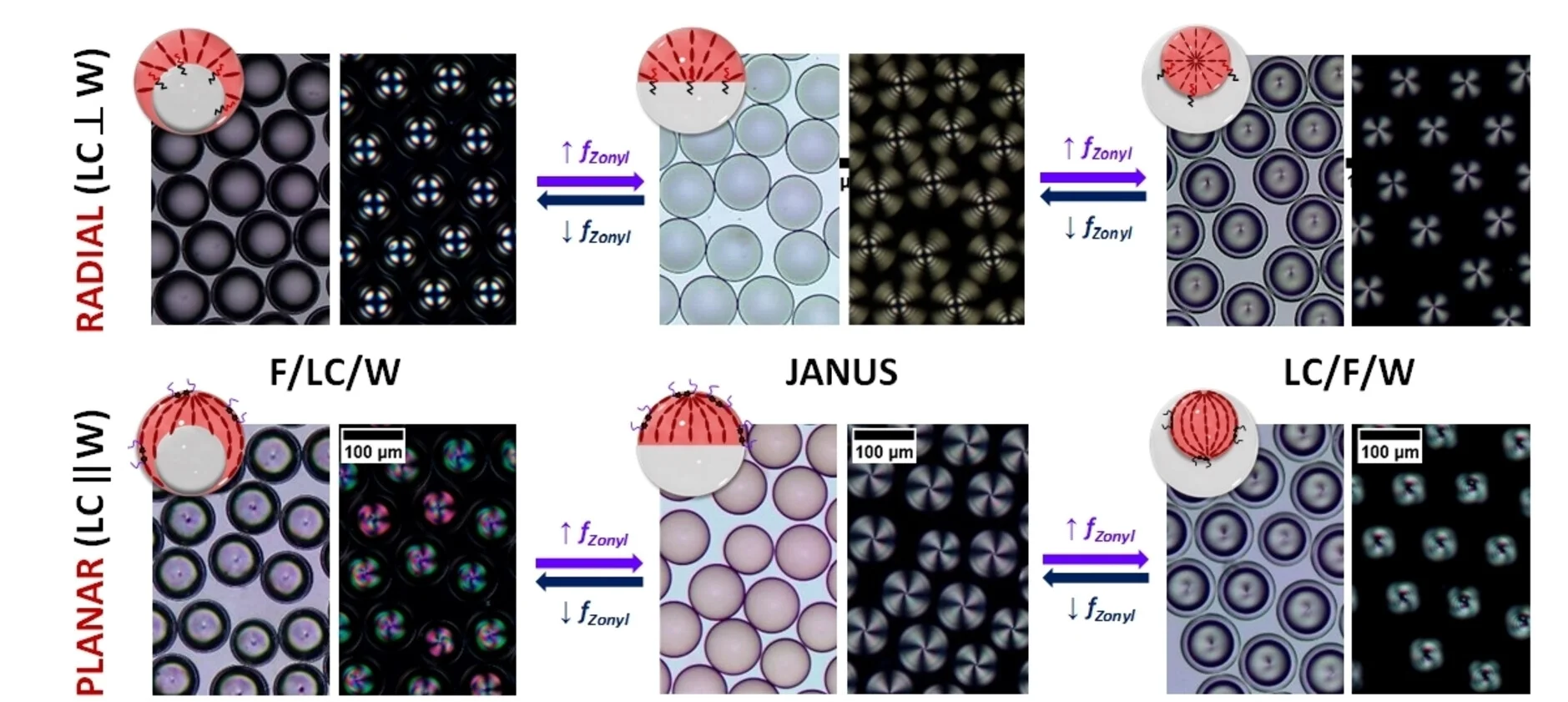 Plot showing: Microscopy, Illustration, LC Emulsions, Radial Alignment, Planar Alignment