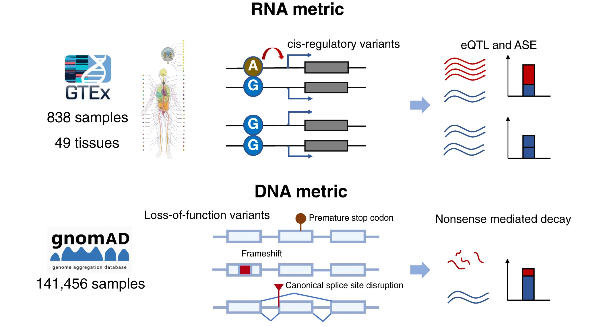 Plot showing: Workflow, Bar Plot, RNA metrics, DNA metrics, Cis-regulatory variants