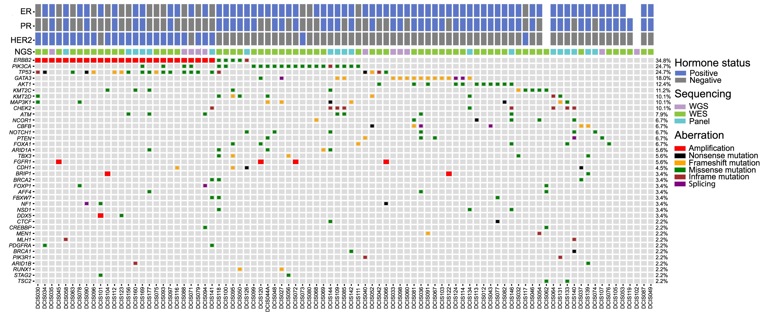 Plot showing: Heatmap, Oncoprint, Mutational Landscape, Primary DCIS Lesions, Amplifications