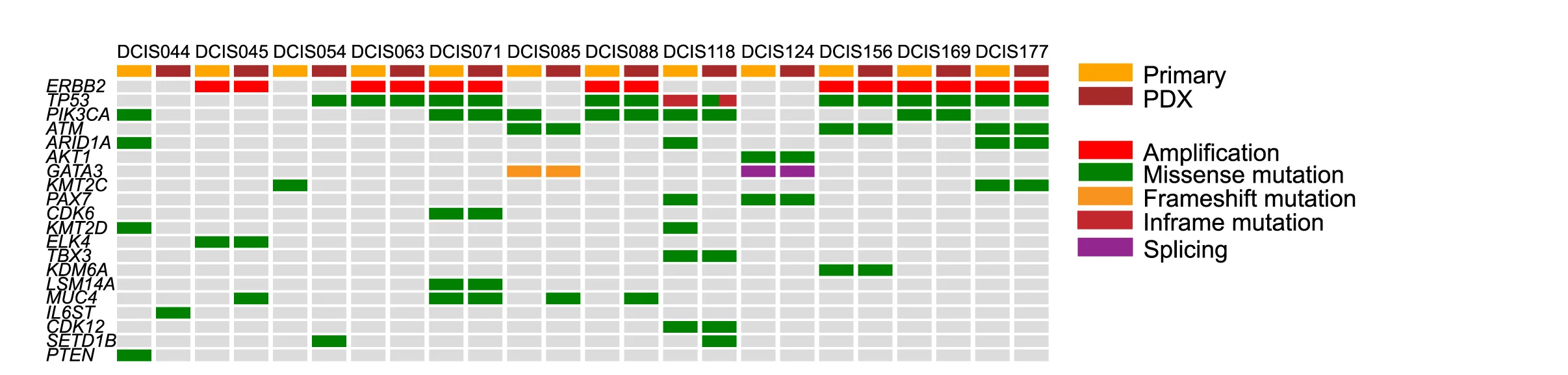 Plot showing: Heatmap, Oncoprint, Amplifications, Single-nucleotide Variants, Insertion-deletions