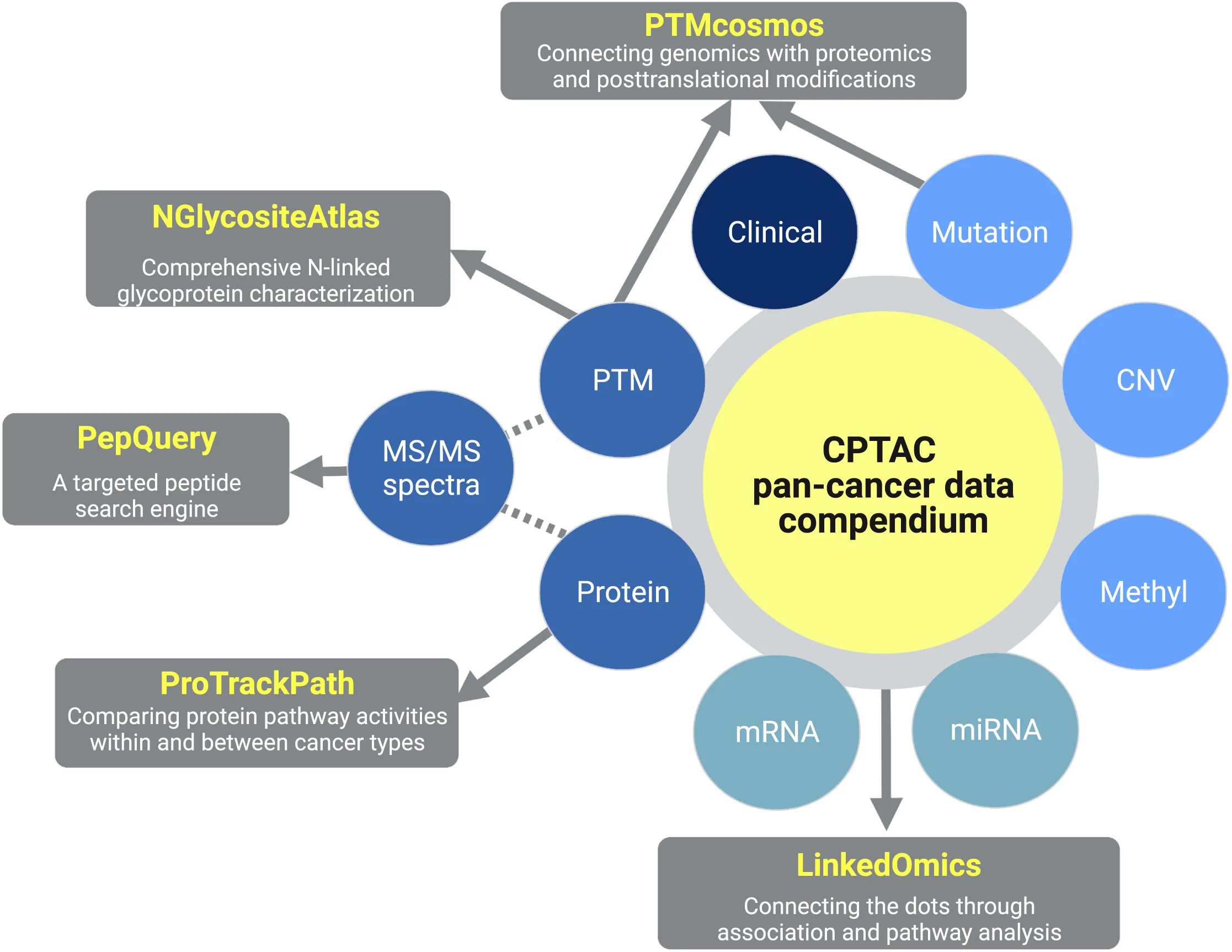 Plot showing: Workflow, Flowchart, Illustration, Proteogenomic Data, Visualization