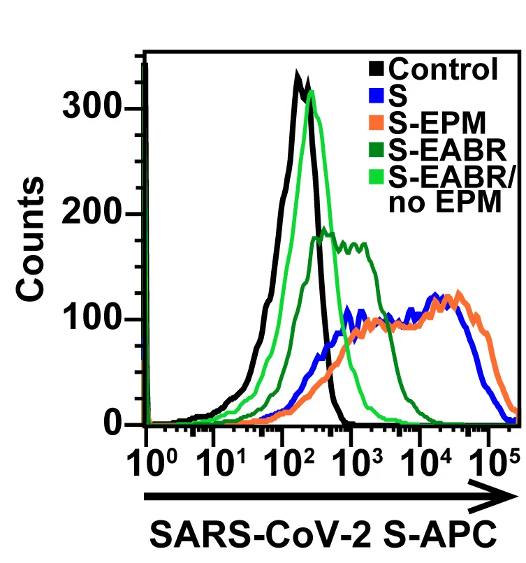 Plot showing: Line Plot, Density Plot, Flow Cytometry Analysis, SARS-CoV-2 S, Cell Surface Expression