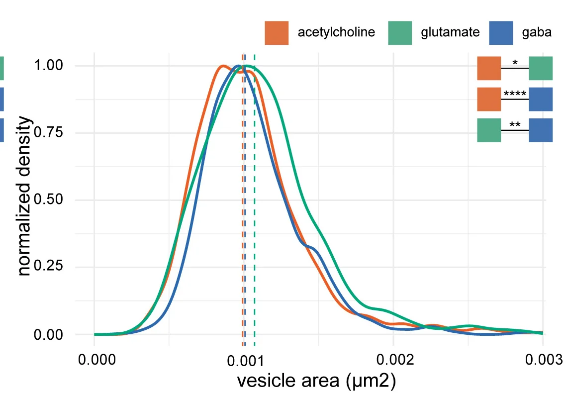 Plot showing: Density Plot, Line Plot, Vesicle Size, Vesicles, Acetylcholine