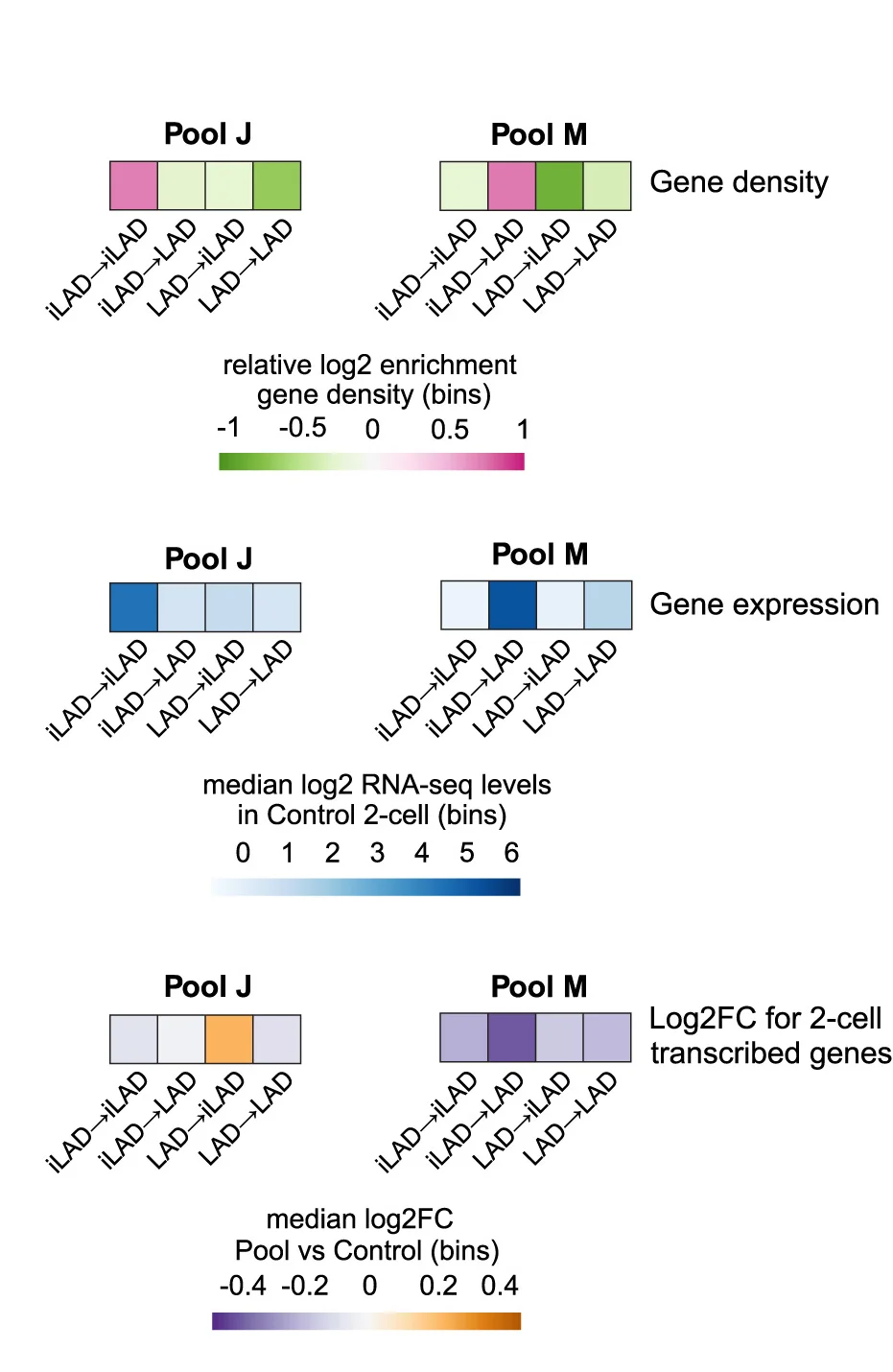 Plot showing: Heatmap, Gene Density, RNA-Seq, 2-Cell Embryos, Gene Expression
