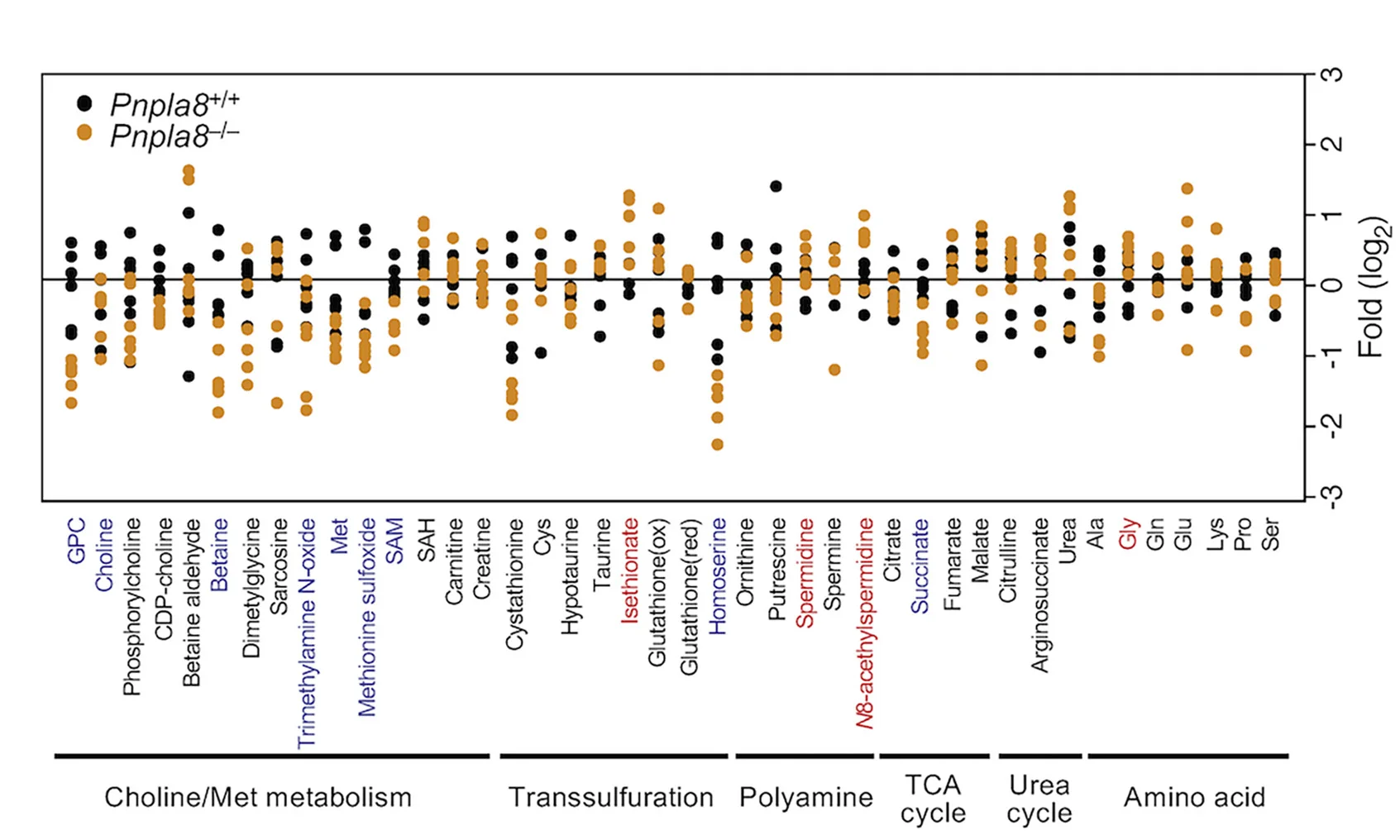 Plot showing: Scatter Plot, Metabolome Analysis, Livers, CE-MS, Metabolites